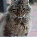 La Bergerie D'hotes 3*