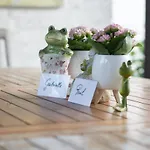 La Bergerie D'hotes 3* Leuze-en-Hainaut