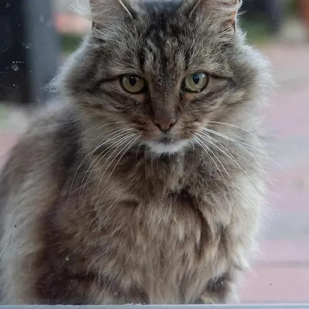 La Bergerie D'hotes 3*