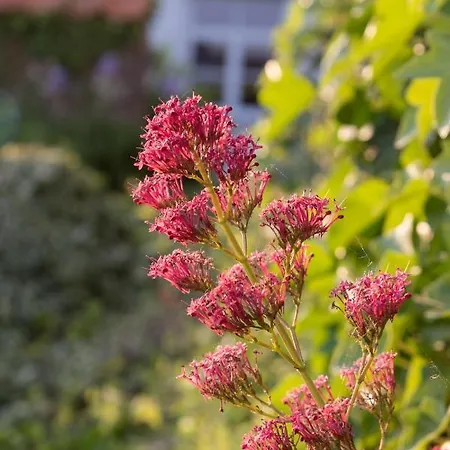 La Bergerie D'hotes 住宿加早餐酒店