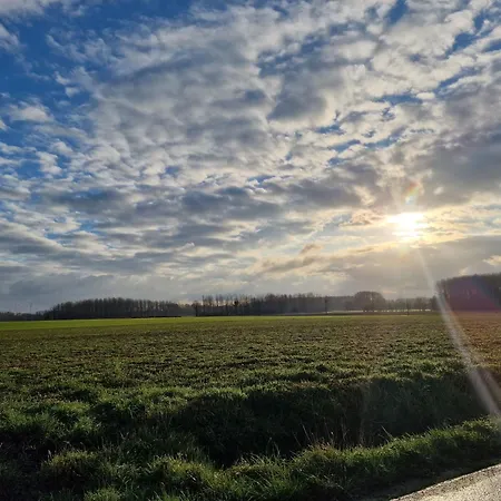 住宿加早餐酒店 La Bergerie D'hotes Leuze-en-Hainaut