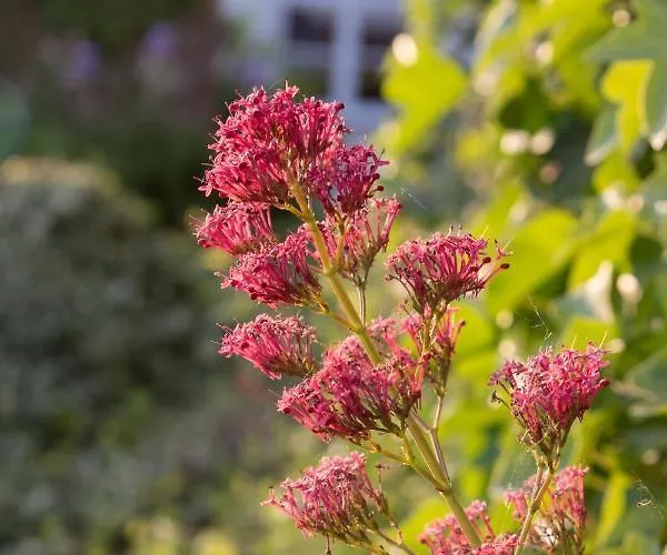 La Bergerie D'hotes Bed and breakfast